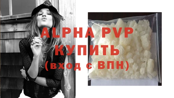 Альфа ПВП Бородино